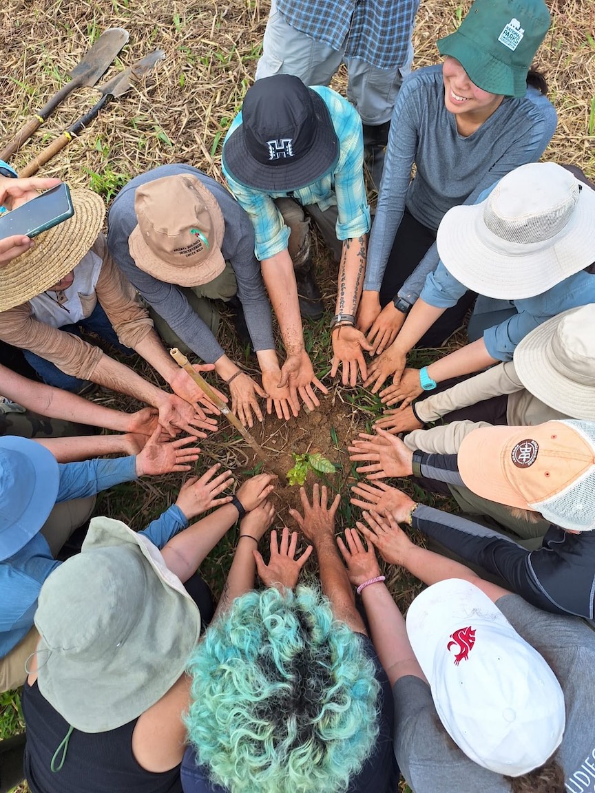 All About Forest Regeneration! โ Field Notes Biology Diagrams